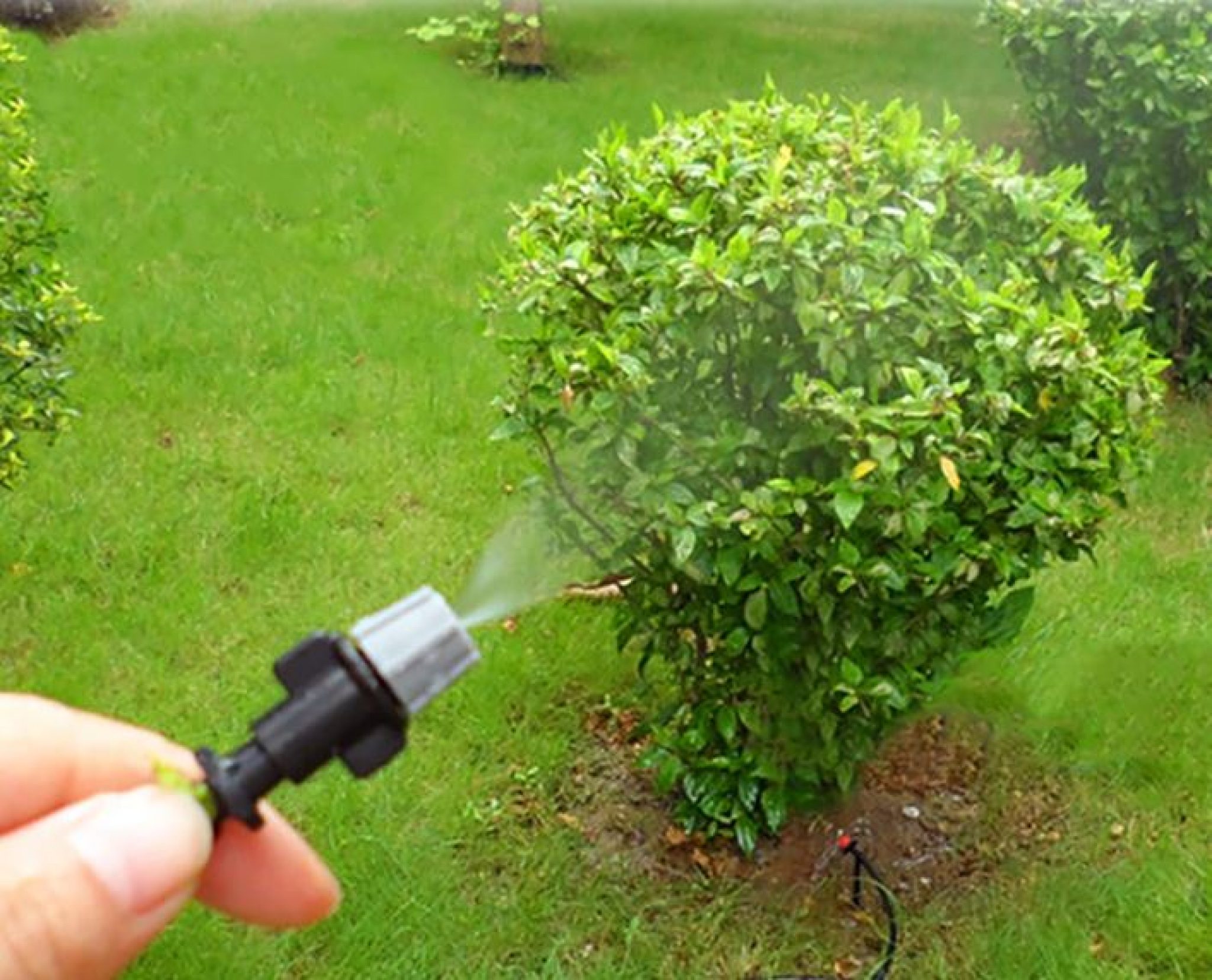 Mist irrigation with Anti Drainage Valve(Black+Black) Drip Irrigation