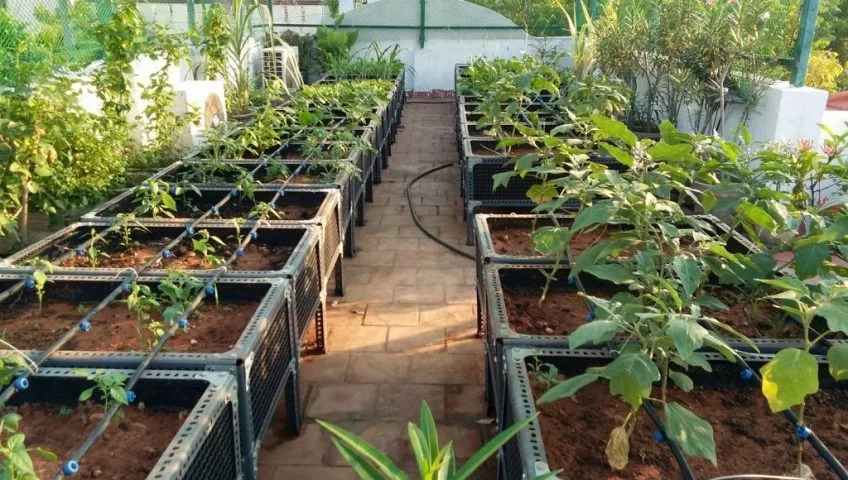70 Plants drip irrigation package-Special offer 3 70 Plants drip irrigation package-Special offer - Image 3