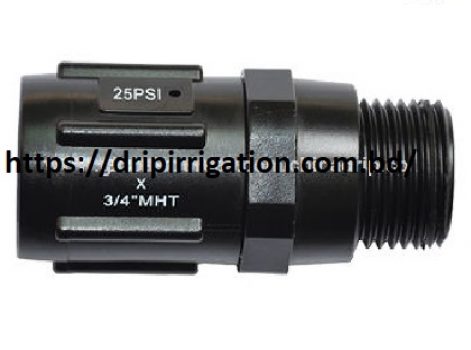 Pressure Regulator ¾ inch BSP 20PSI