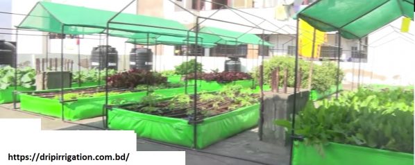 400 Plants Green Vegetable Drip irrigation package - Image 12