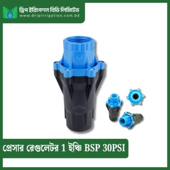 Pressure Regulator 1 inch BSP 30PSI