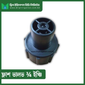 Flush Valve ¾  inch