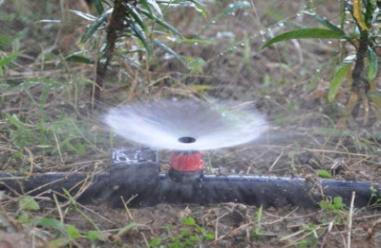 Adjustable  Vortex Sprayer
