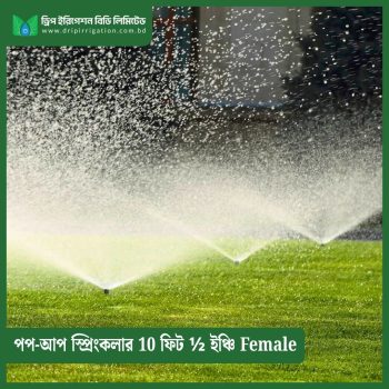 Pop-up Sprinkler 10 feet ½ inch Female
