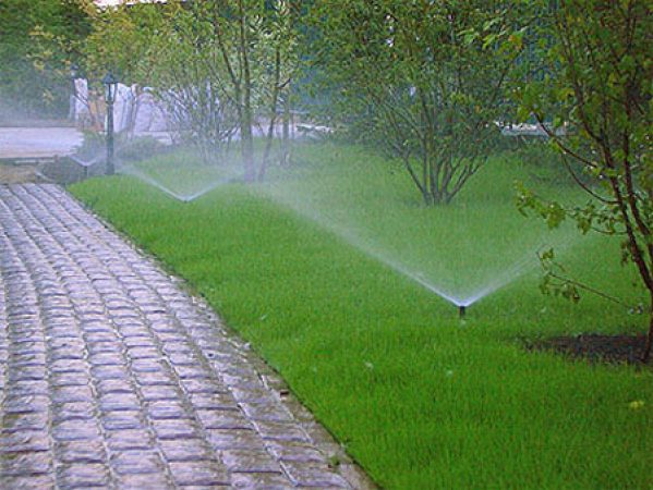 Pop-up Sprinkler 10 feet ½ inch Female - Image 4