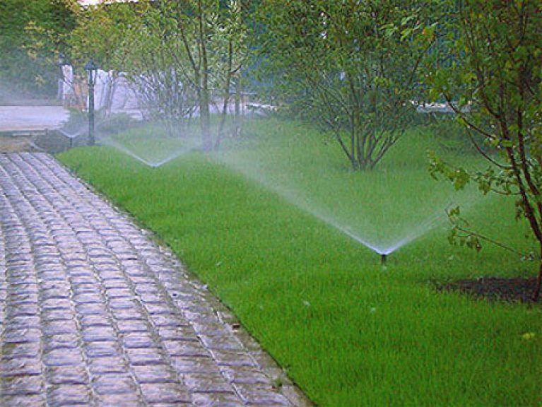 Pop-up Sprinkler 10 feet ½ inch Female