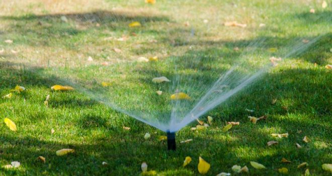 Pop-up Sprinkler 10 feet ½ inch Female - Image 5