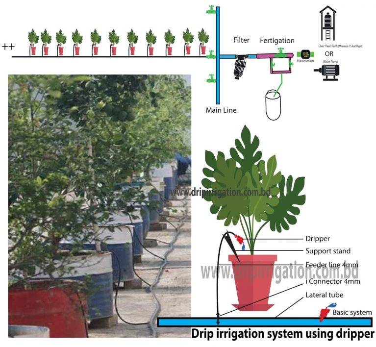 Drip Irrigation BD Drip Irrigation in Bangladesh