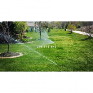 lawn popup irrigation