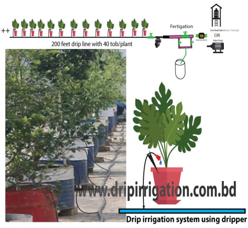 ছাদ বাগানে ড্রিপ ইরিগেশন সেটাপ করার খরচ Drip Irrigation BD Ltd. (DIBL)