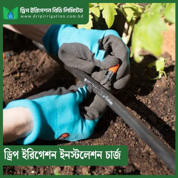 Drip  Irrigation Installation Charge