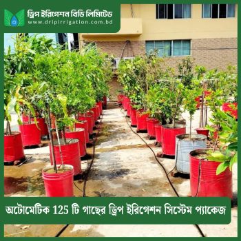 Automatic 125 Plant Drip Irrigation System Package