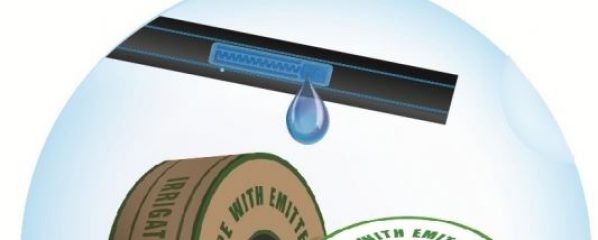 20cm drip tape
  0.3mm thickness 4920rft