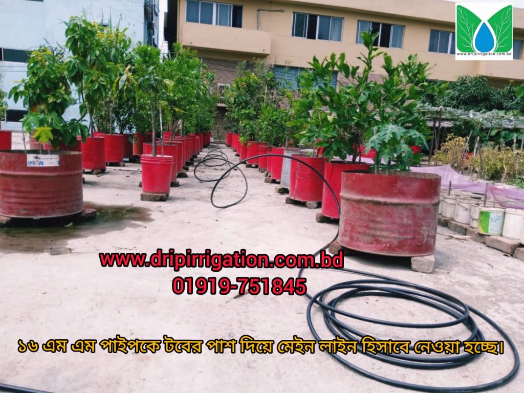 60 Plant Drip Irrigation System