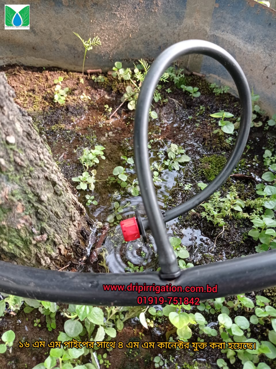 70 Plants drip irrigation packageSpecial offer Drip Irrigation BD