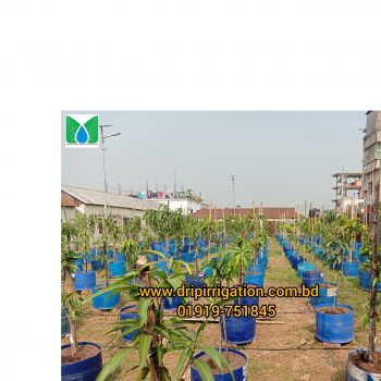 90 plants drip irrigation package