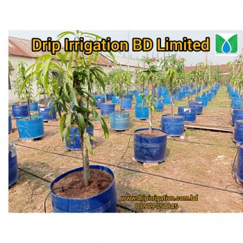 Drip irrigation