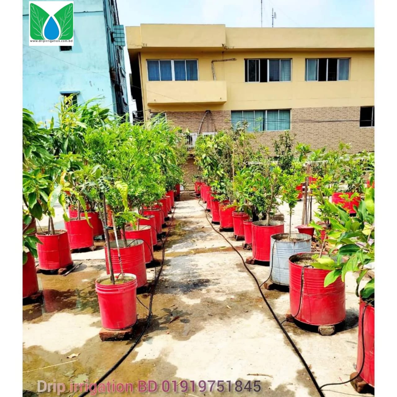 Automatic 35 plants drip irrigtion package