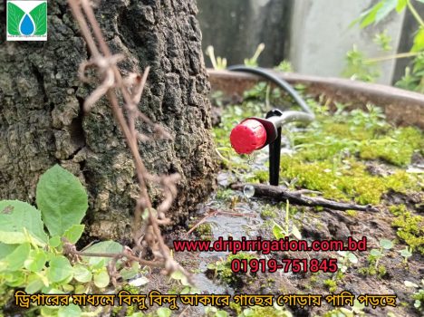 Drip irrigation package 40 plants