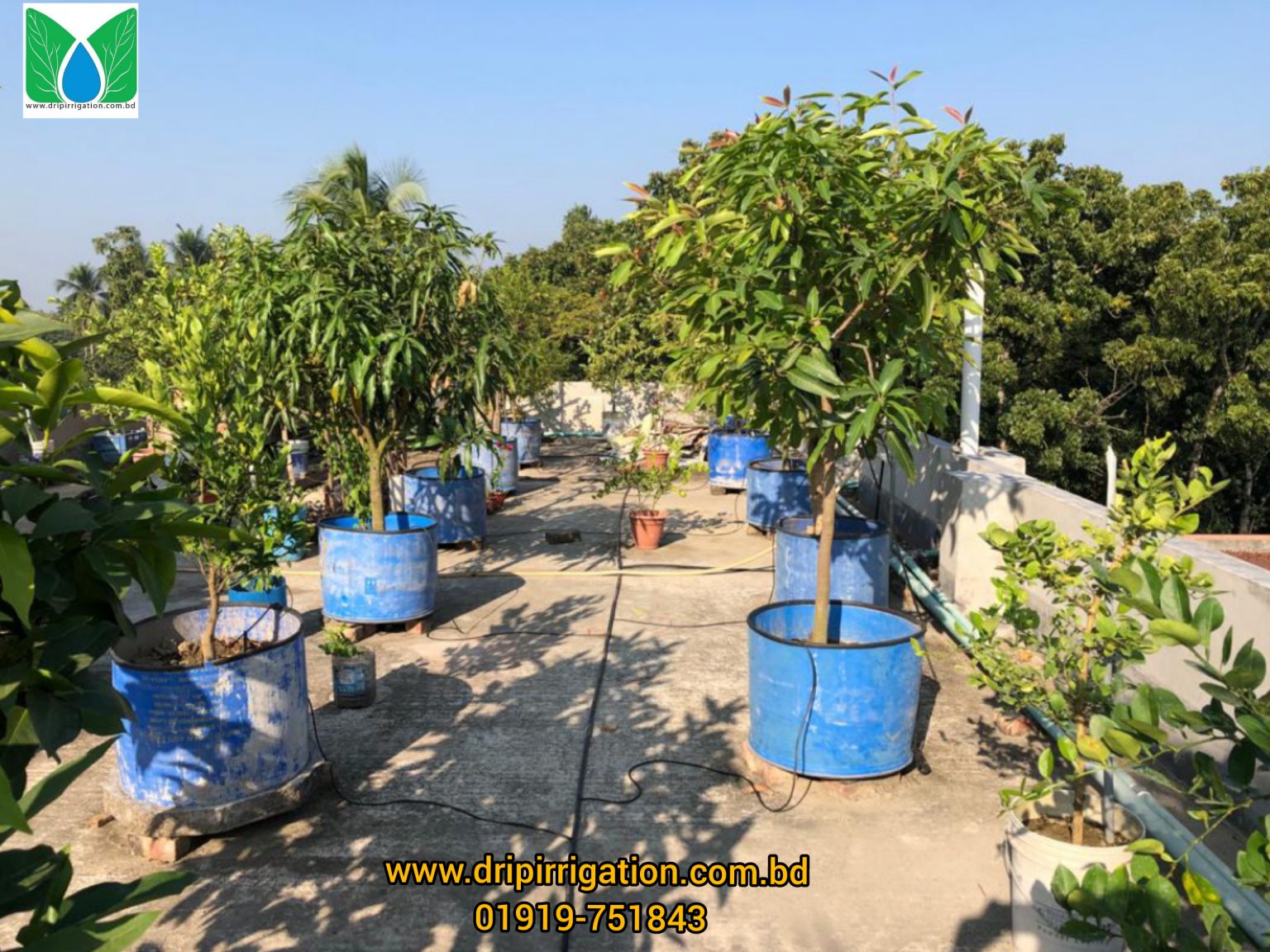 Drip irrigation package 35 plants Drip Irrigation BD Ltd. (DIBL)
