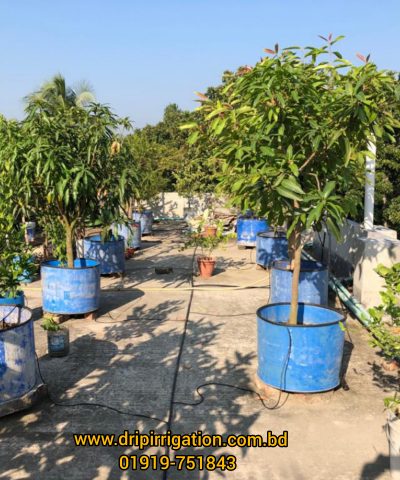 Automatic drip irrigation package 50 plants