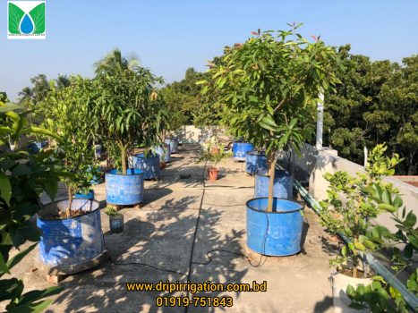 Automatic drip irrigation package 50 plants