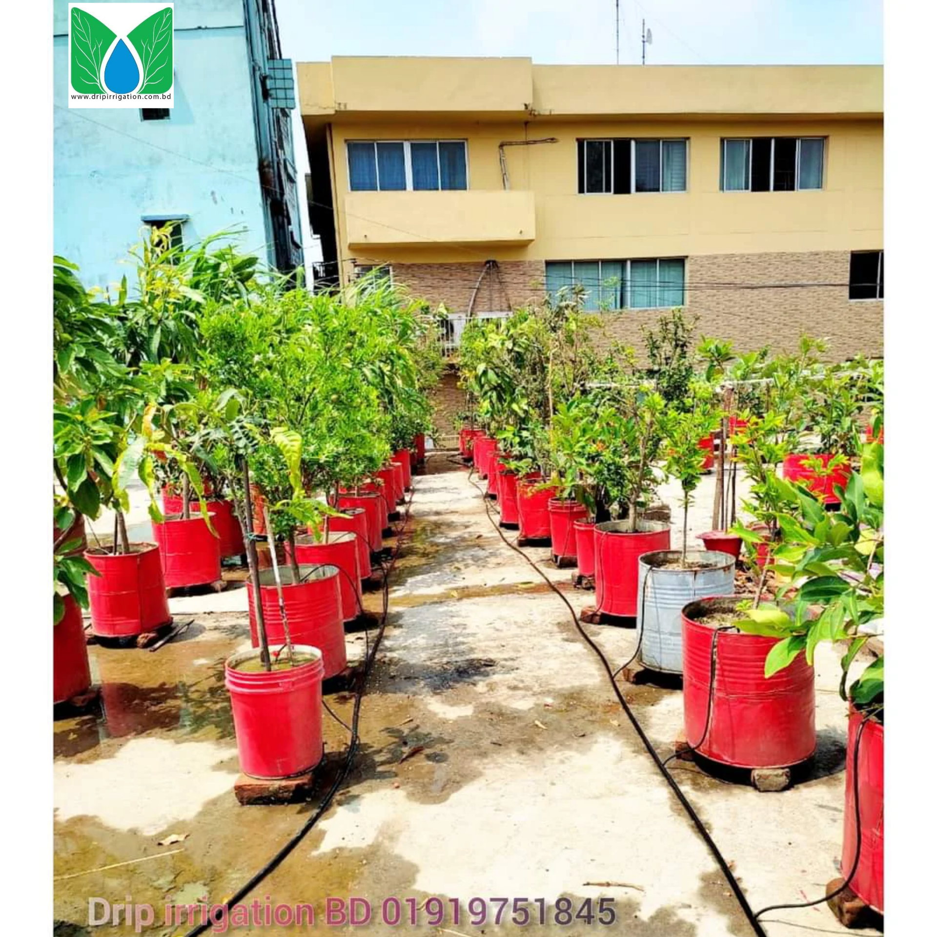 Drip Irrigation package