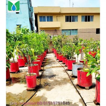 25 টি গাছ এর ড্রিপ ইরিগেশন সিস্টেম