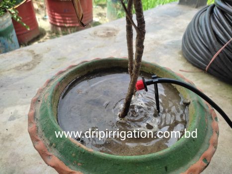 35 plants drip irrigation package