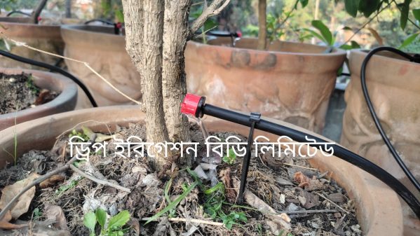 90 plants drip irrigation package