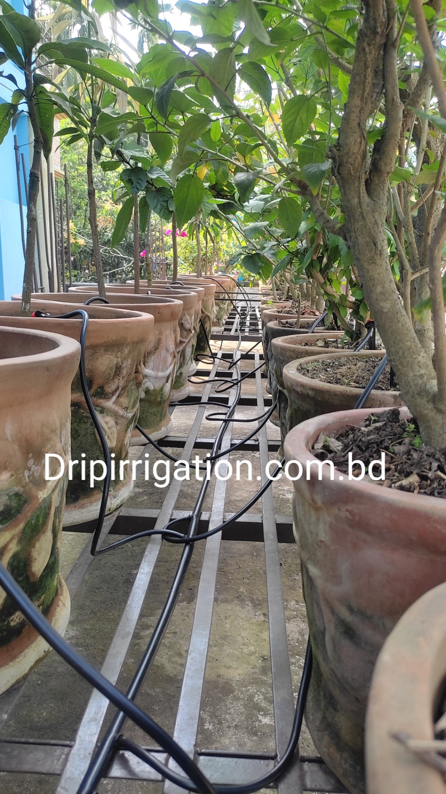 20 plants drip irrigation package