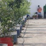 Irrigation Installation or Service charge