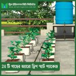 24 plants Arrow drip smart package 5 134