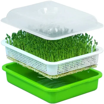 Microgreen
  2 layer hydroponic tray with lid