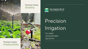 Precision irrigation by Drip Irrigation BD Ltd