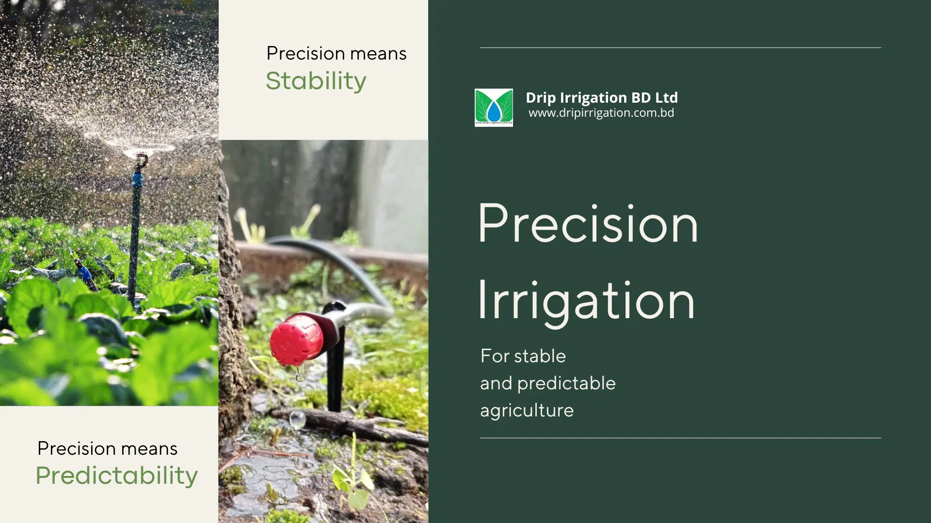 Precision irrigation by Drip Irrigation BD Ltd