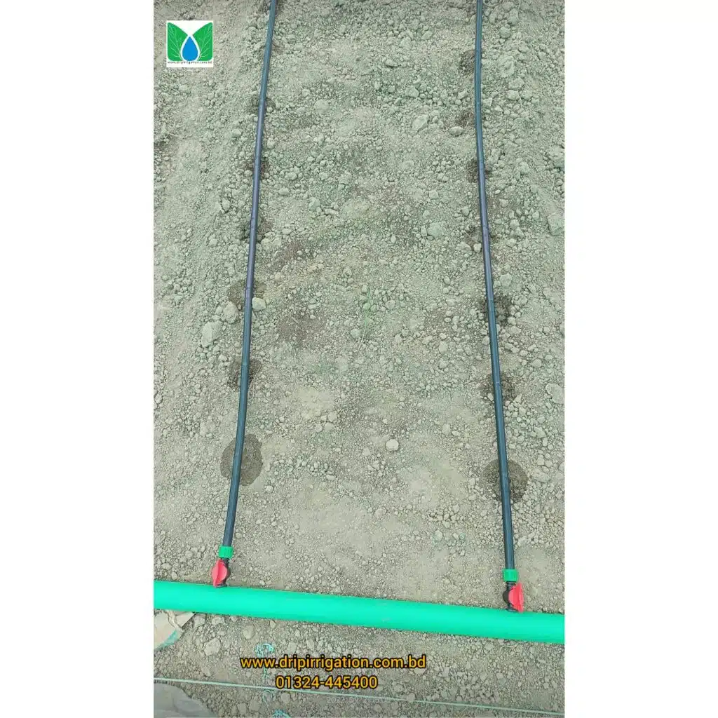 সারি ফসল চাষে খরচ কমতে ইন-লাইন ড্রিপ টেপের ব্যবহার। 6 WhatsApp Image 2022 11 07 at 12.22.30 PM large
