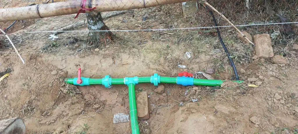 পাহাড়ি এলাকায় সেচের আধুনিক পদ্ধতি 4 IMG 20221227 094614 124 2