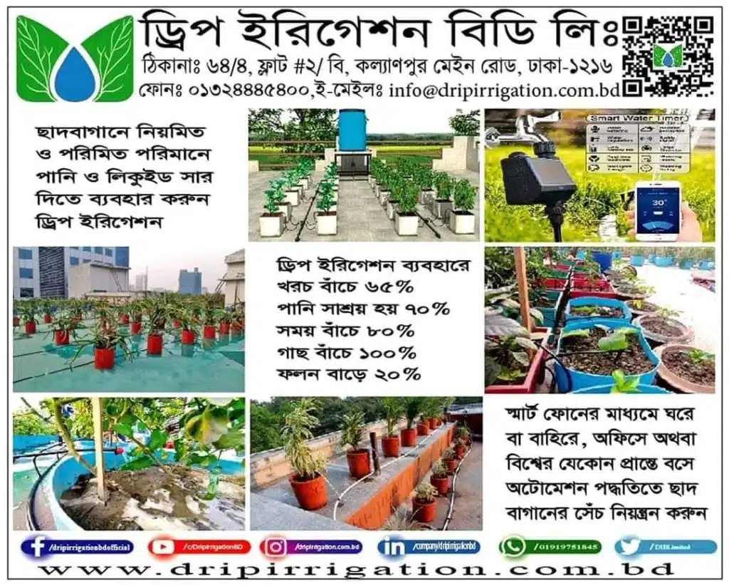WhatsApp Image 2023 01 17 at 7.40.29 PM