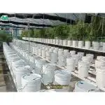 ড্রিপ( Drip Irrigation ) ইরিগেশন সিস্টেম 3 WhatsApp Image 2023 01 30 at 8.11.15 PM