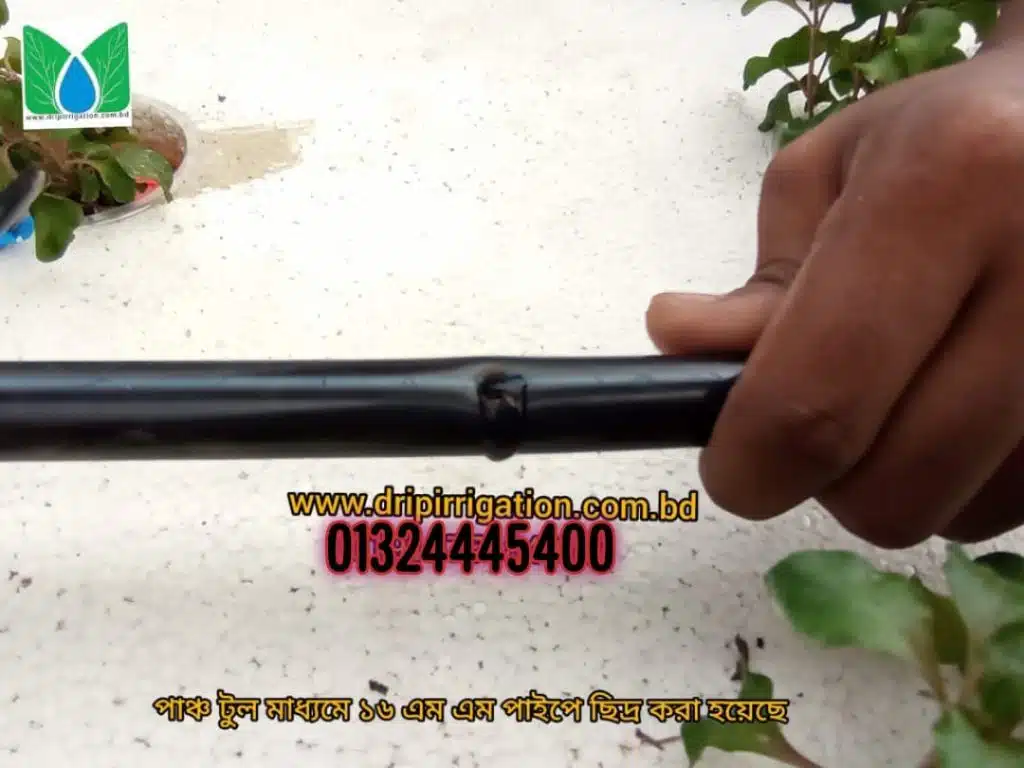 স্মার্ট ছাদ বাগানের ইরিগেশন সিস্টেম 5 d0a82aca 50c7 4b0f 9134 295108d2f979