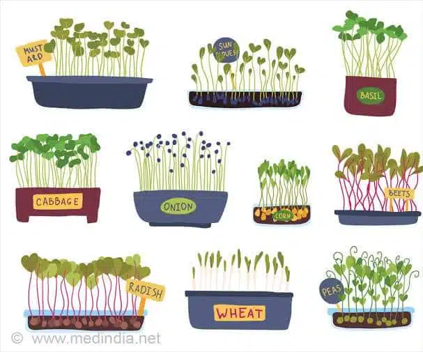 Super food microgreen book 3 Super food microgreen book - Image 3