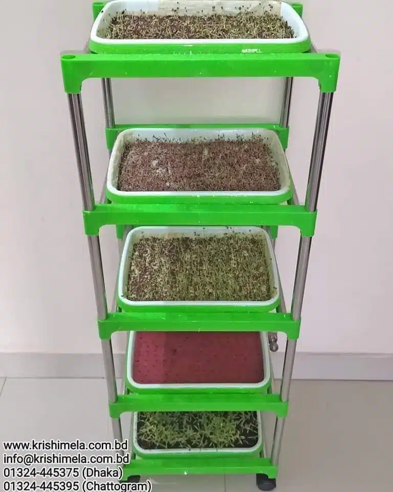 Super food microgreen book 2 Super food microgreen book - Image 2
