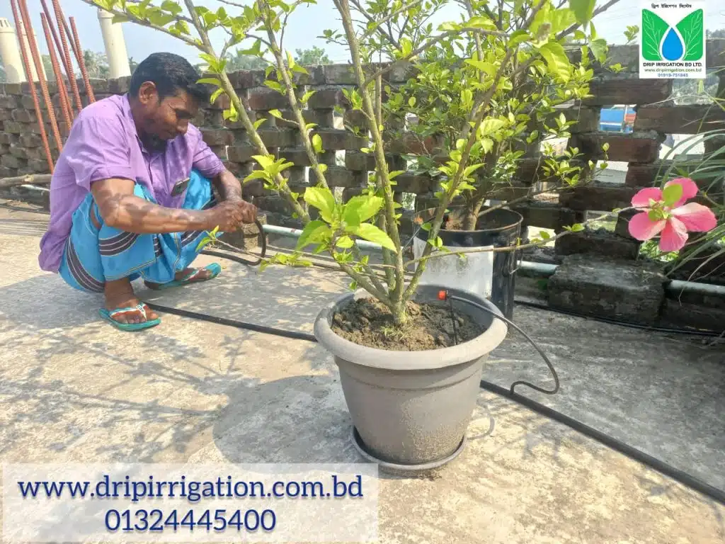 ছাদবাগানে স্বয়ংক্রিয় পদ্ধতিতে সেঁচ 4 WhatsApp Image 2023 04 10 at 11.07.33 PM