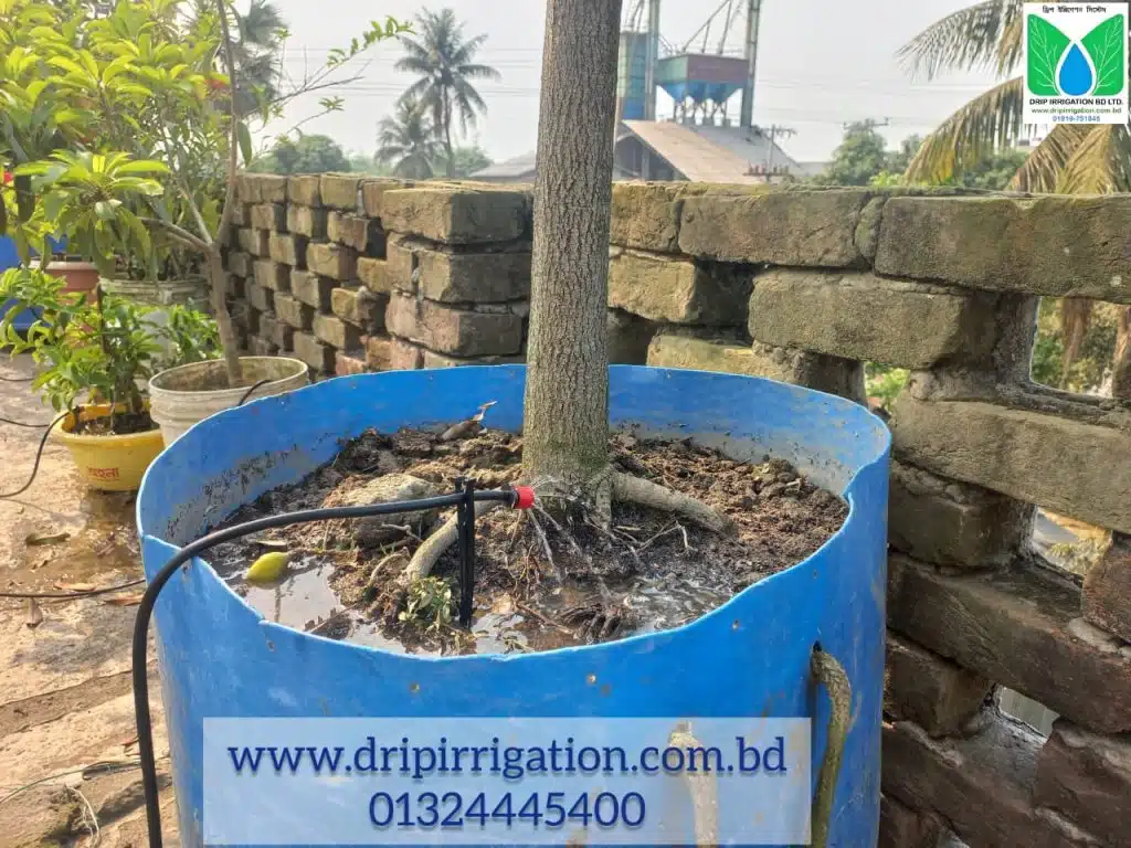 ছাদবাগানে স্বয়ংক্রিয় পদ্ধতিতে সেঁচ 2 WhatsApp Image 2023 04 10 at 11.07.35 PM
