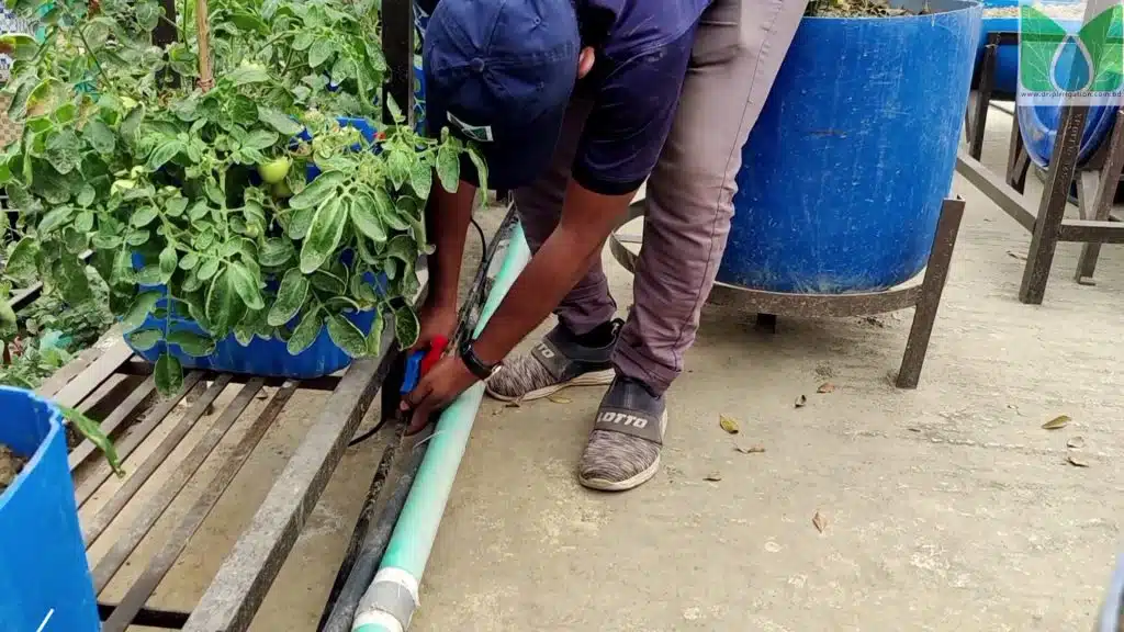 সোনারগাঁওয়ে আধুনিক ছাদ বাগান 3 nmm