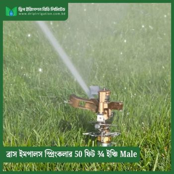 Brass Impulse Sprinkler 50 feet ¾ inch Male