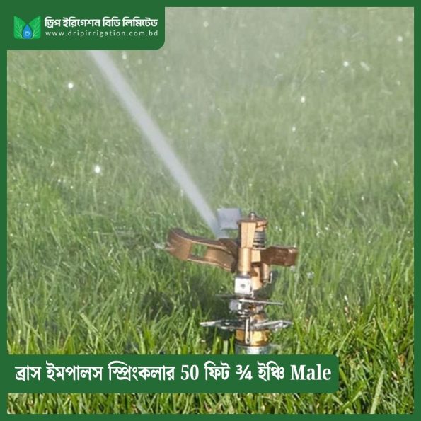 Brass Impulse Sprinkler 50 feet ¾ inch Male