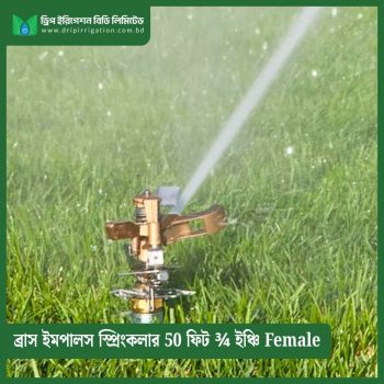 Brass Impulse Sprinkler 50 feet ¾ inch Female