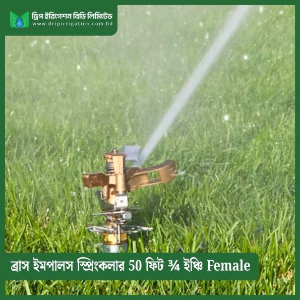 Brass Impulse Sprinkler 50 feet ¾ inch Female